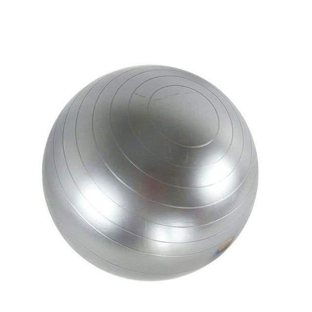 65cm Yoga Exercise Ball