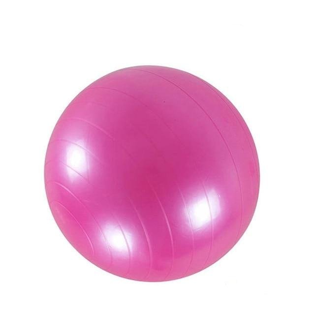 65cm Yoga Exercise Ball