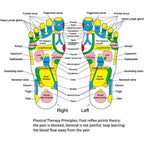 Foot Reflexology Acupressure Pad